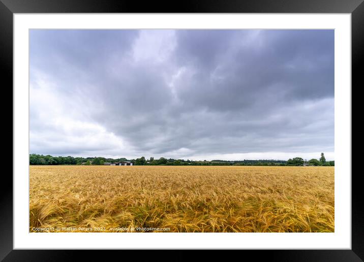 Wheat field Framed Mounted Print by Martin Yiannoullou