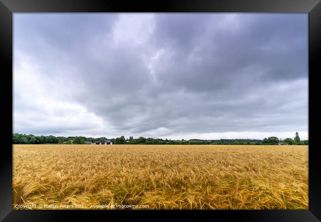 Wheat field Framed Print by Martin Yiannoullou