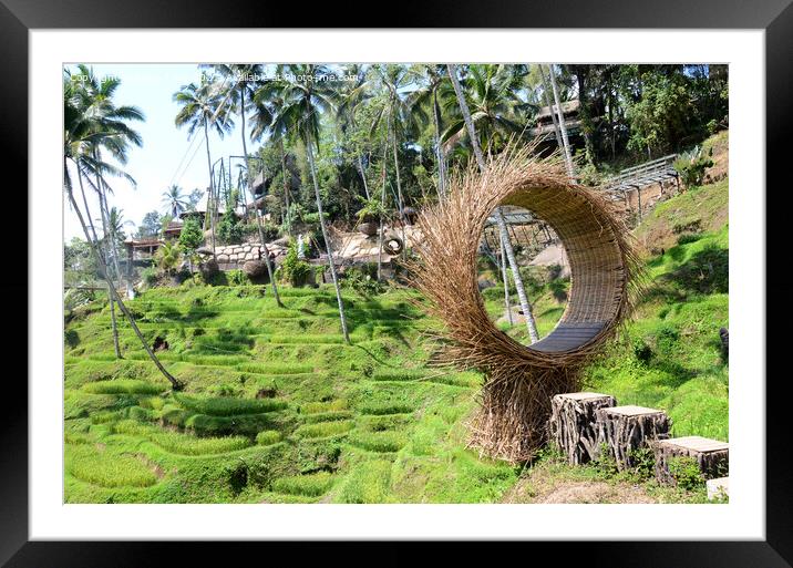 Tegallalang rice terraces in Ubud, Bali, Indonesia Framed Mounted Print by Yann Tang