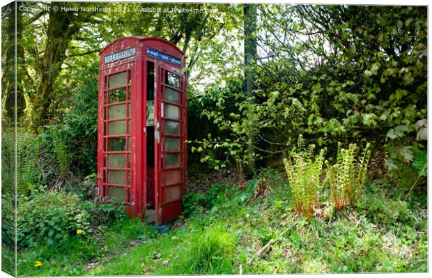 Heatree Cross Red Telephone Box Dartmoor Canvas Print by Helen Northcott