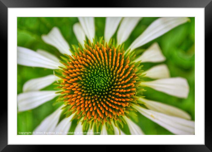 Nature Perfection  Framed Mounted Print by Arion Espinola
