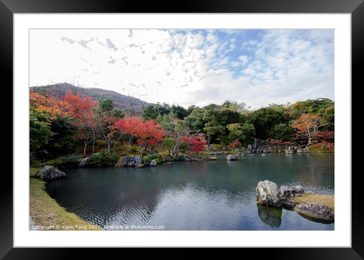 Colorful autumn park and pond in Tenryuji temple garden at Kyoto Framed Mounted Print by Yann Tang
