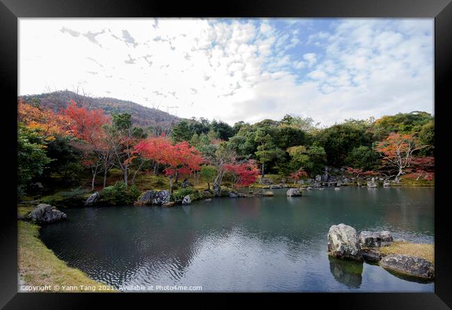 Colorful autumn park and pond in Tenryuji temple garden at Kyoto Framed Print by Yann Tang