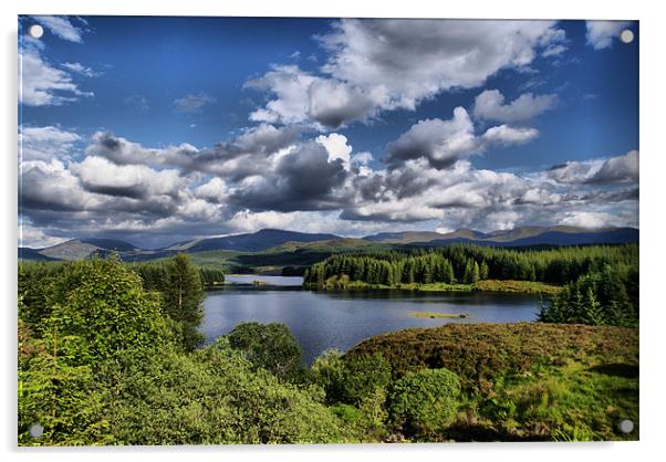 Loch Laggan, Scotland Acrylic by Sandi-Cockayne ADPS