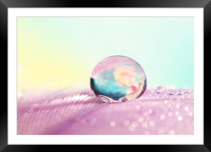 Dreamy Feather Drop Framed Mounted Print by Sharon Johnstone