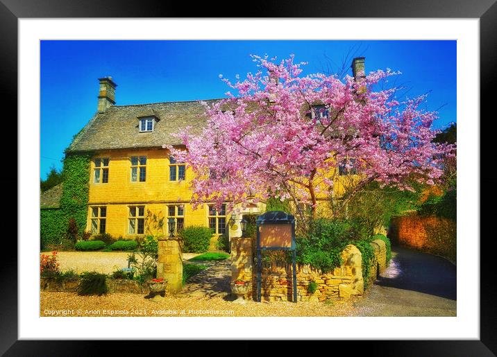 Countryside English house  Framed Mounted Print by Arion Espinola