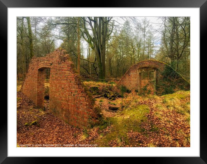 The past in the forest  Framed Mounted Print by Arion Espinola