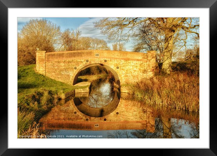 Bridge reflection at Lacock, England   Framed Mounted Print by Arion Espinola