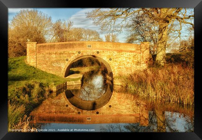Bridge reflection at Lacock, England   Framed Print by Arion Espinola