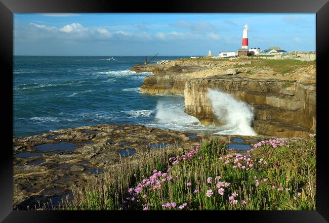 Portland Bill, Jurassic Coast, UK Framed Print by Rumyana Whitcher