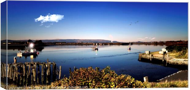 Alloa Harbour in the Morning Light  Canvas Print by Tim Shaw