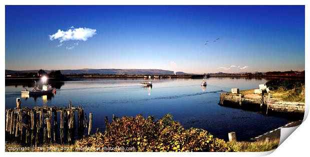 Alloa Harbour in the Morning Light  Print by Tim Shaw