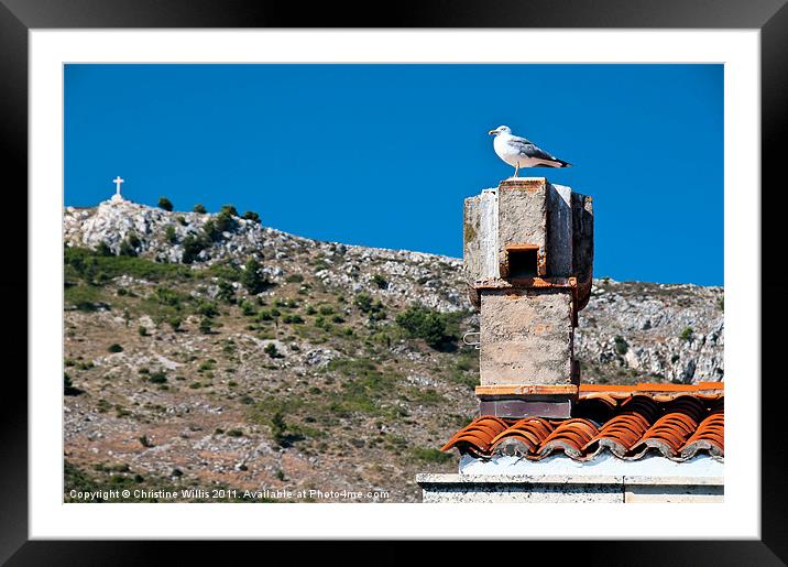 Sleeping Gull Framed Mounted Print by Christine Johnson