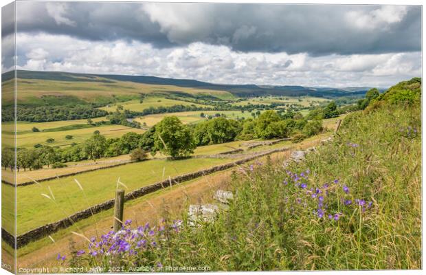 Towards Holwick from Middle Side, Teesdale Canvas Print by Richard Laidler