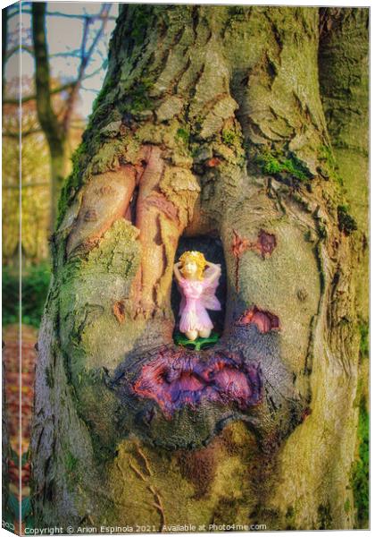 Fairy on the tree Canvas Print by Arion Espinola
