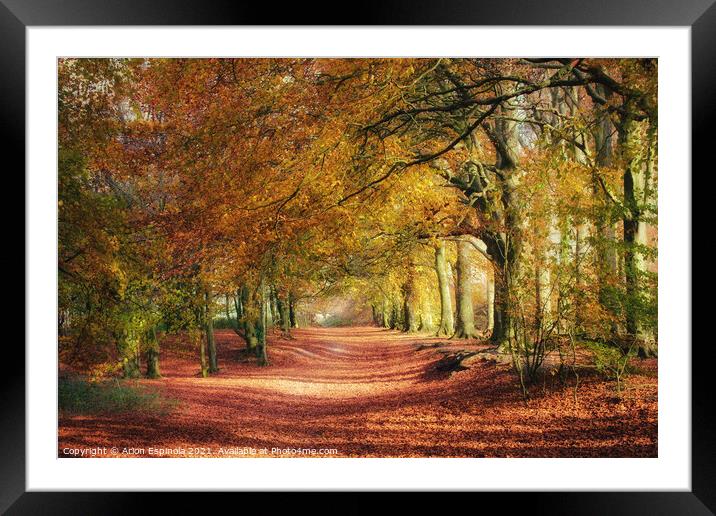 Wonderful English autumn  Framed Mounted Print by Arion Espinola