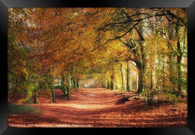 Wonderful English autumn  Framed Print by Arion Espinola