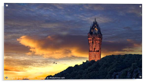 Wallace Monument Stirling Acrylic by Tim Shaw