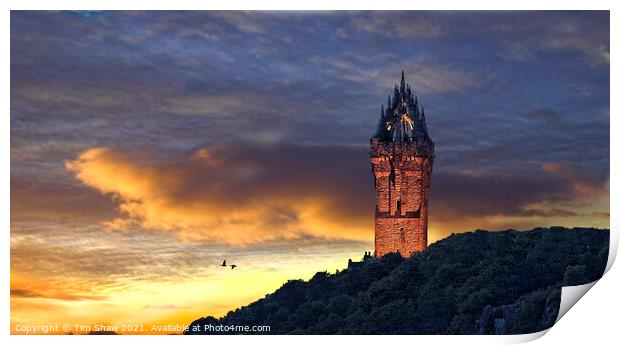 Wallace Monument Stirling Print by Tim Shaw