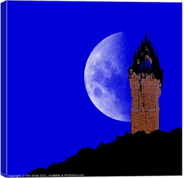 Wallace Monument Abstract Canvas Print by Tim Shaw