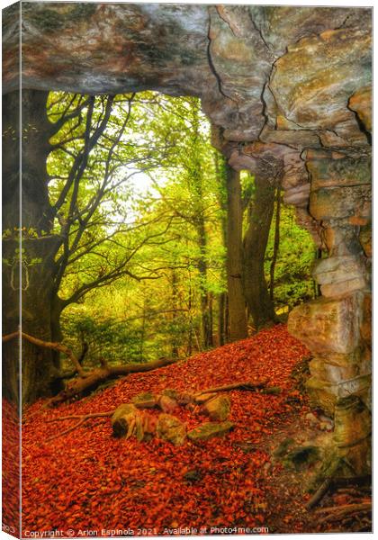 Autumn in the forest  Canvas Print by Arion Espinola