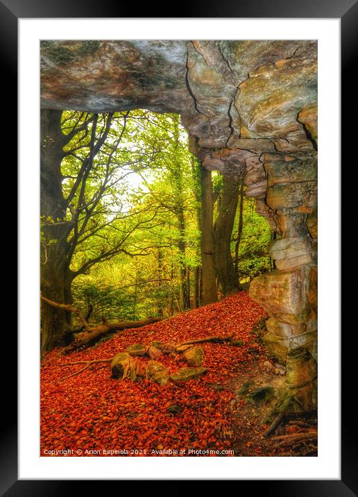 Autumn in the forest  Framed Mounted Print by Arion Espinola