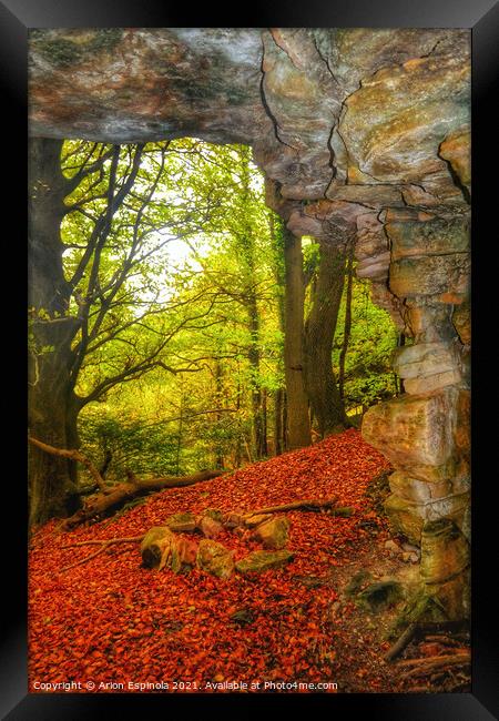 Autumn in the forest  Framed Print by Arion Espinola