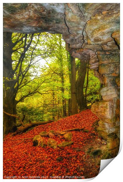 Autumn in the forest  Print by Arion Espinola