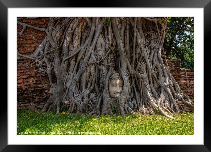Wat Mahathat in Ayutthaya Thailand Southeast Asia Framed Mounted Print by Wilfried Strang