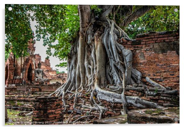 Wat Mahathat in Ayutthaya Thailand Southeast Asia Acrylic by Wilfried Strang