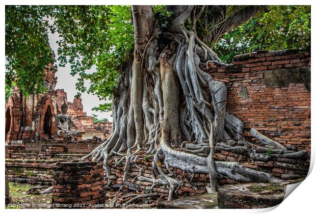 Wat Mahathat in Ayutthaya Thailand Southeast Asia Print by Wilfried Strang