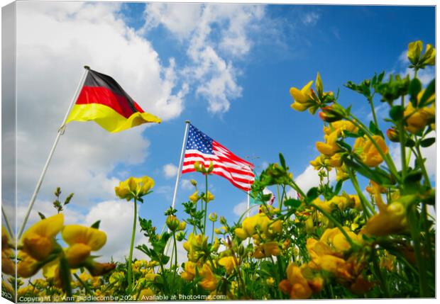 A Flowers View of the USA and German Flags Canvas Print by Ann Biddlecombe