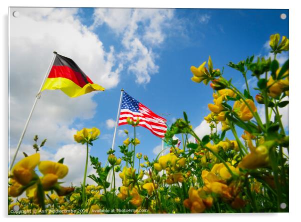 A Flowers View of the USA and German Flags Acrylic by Ann Biddlecombe