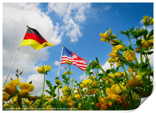 A Flowers View of the USA and German Flags Print by Ann Biddlecombe