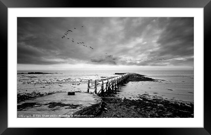 Culross Pier in Black & White Framed Mounted Print by Tim Shaw