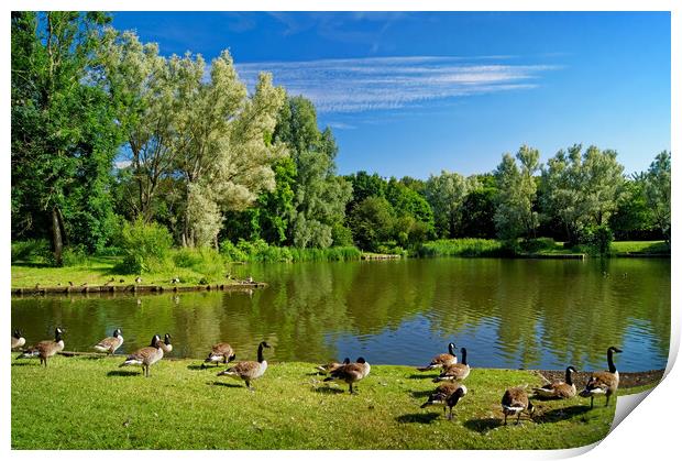 Dearne Valley Country Park Print by Darren Galpin