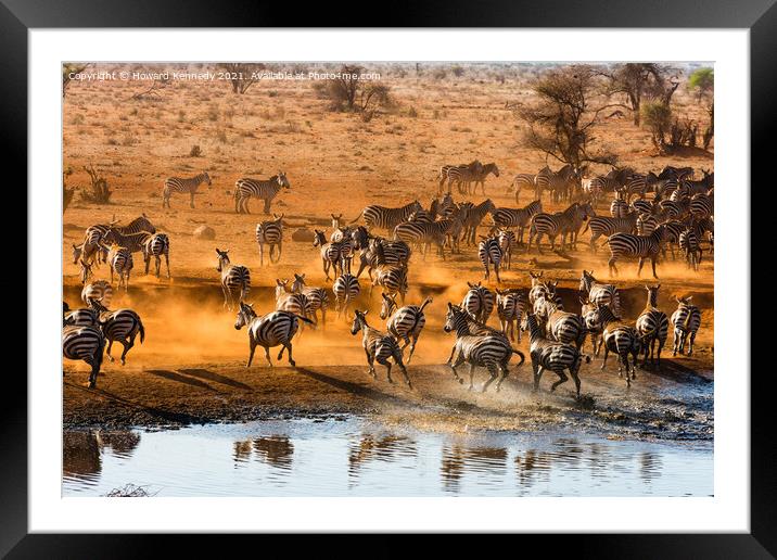 Startled Zebra Bolt From Waterhole in Kenya Framed Mounted Print by Howard Kennedy