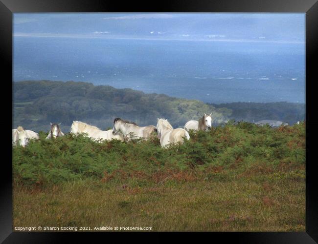 Gower coast landscape white horses Framed Print by Sharon Cocking