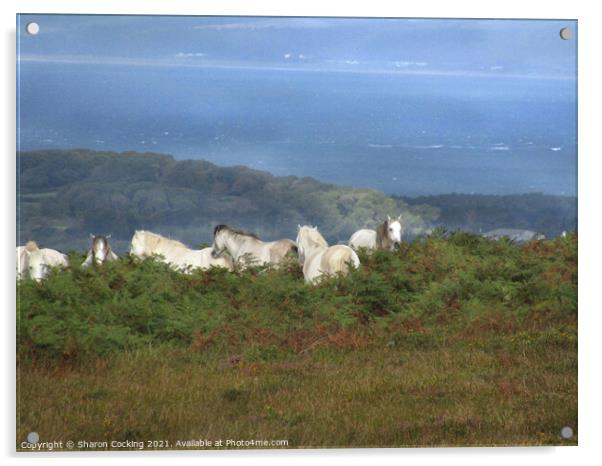 Gower coast landscape white horses Acrylic by Sharon Cocking