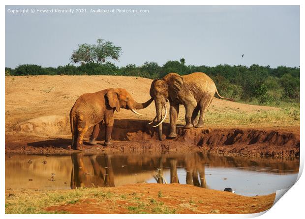 Elephant greeting Print by Howard Kennedy