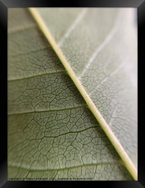 Macro Framed Print by Mikey Cartwright