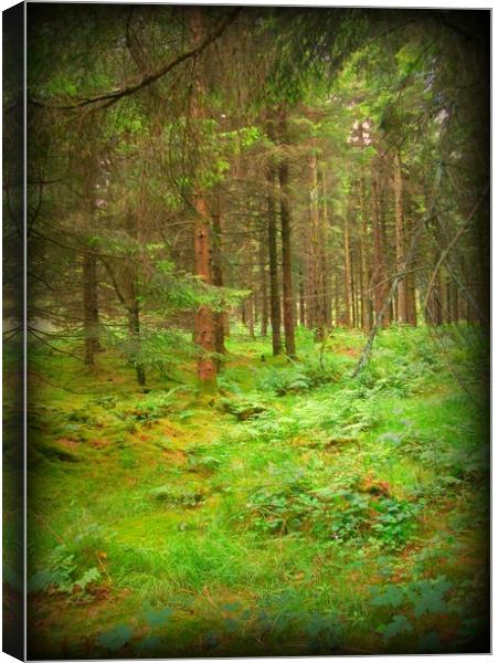 A walk in the woodland Canvas Print by Heather Goodwin