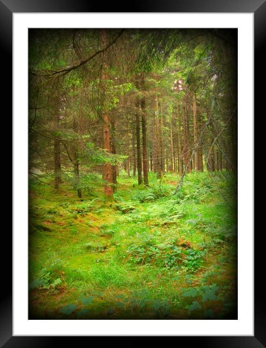A walk in the woodland Framed Mounted Print by Heather Goodwin