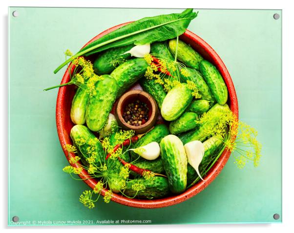 Fresh cucumbers and ingredients for cooking pickled cucumbers Acrylic by Mykola Lunov Mykola
