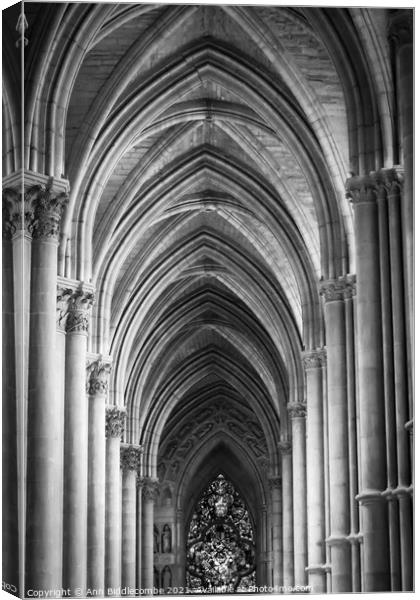 Inside cathedral at Reims in monochrome Canvas Print by Ann Biddlecombe