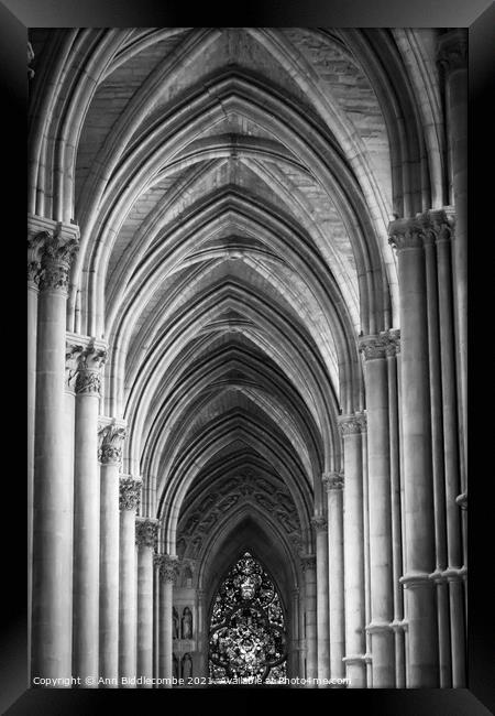 Inside cathedral at Reims in monochrome Framed Print by Ann Biddlecombe