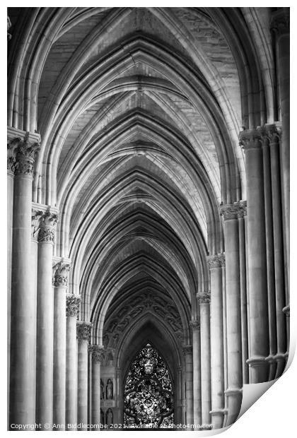 Inside cathedral at Reims in monochrome Print by Ann Biddlecombe