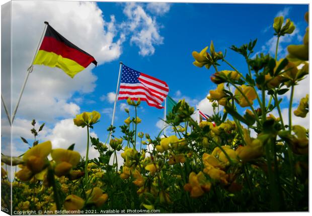 A yellow flowers view of the USA and German flags Canvas Print by Ann Biddlecombe