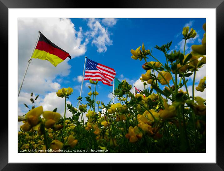 A yellow flowers view of the USA and German flags Framed Mounted Print by Ann Biddlecombe