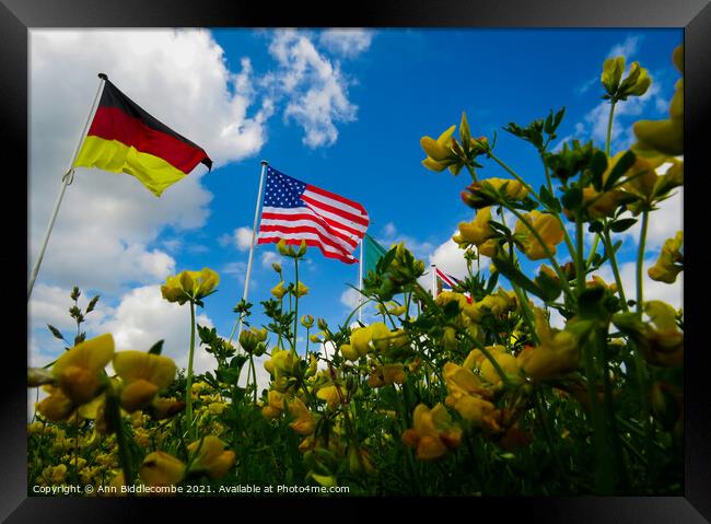 A yellow flowers view of the USA and German flags Framed Print by Ann Biddlecombe